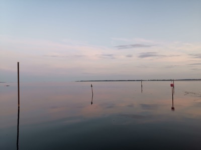 472c3e5e-7f1e-4635-a250-9d0f5c958090